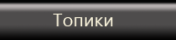 Топики